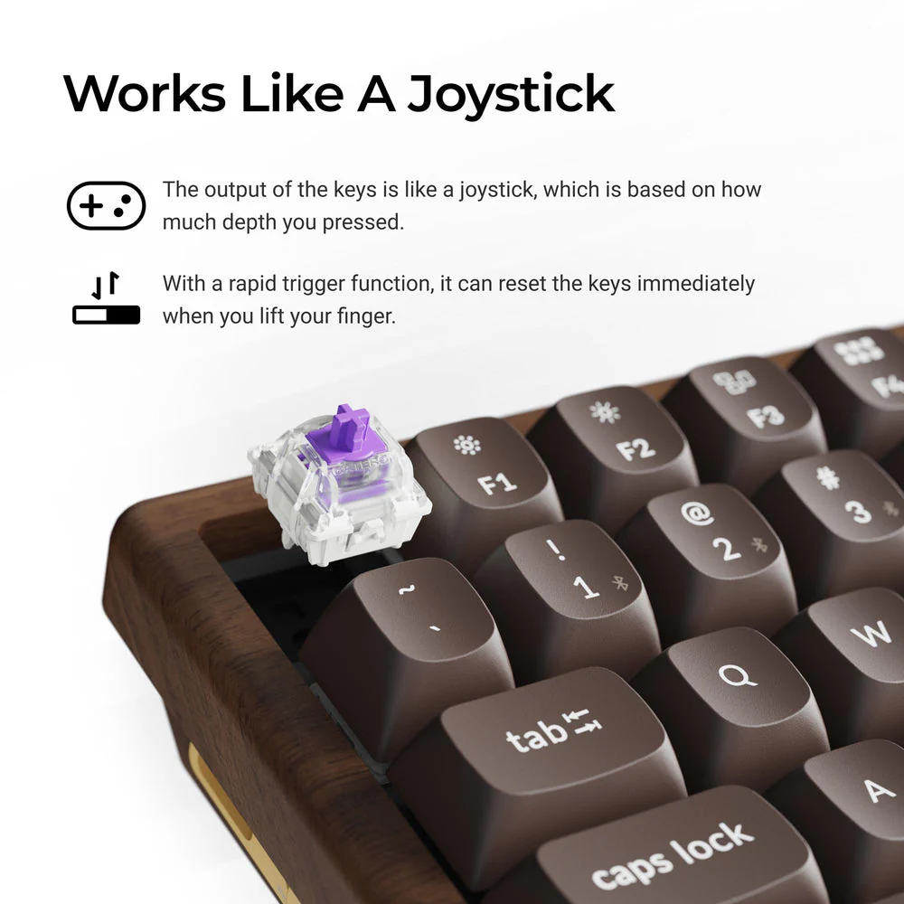 Keychron K2 HE Wireless Magnetic Switch Custom Keyboard - All Wood Special Edition (US ANSI Layout) - Image 3